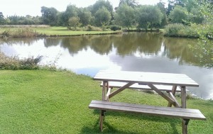 The lake and picnic table