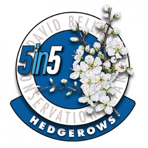 5in5hedgerows2017-72